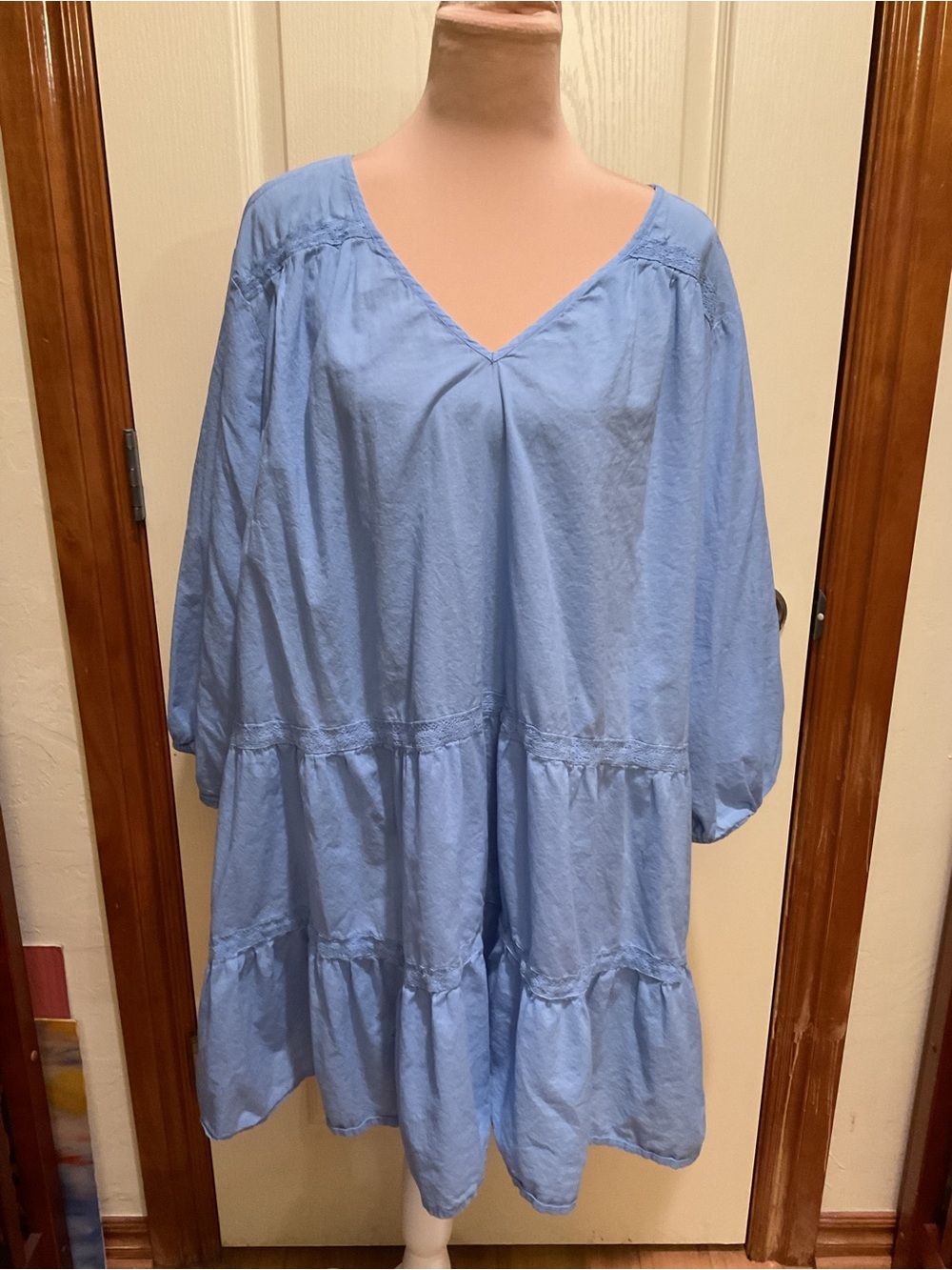 Woman Within Blue and Green Layered Dress